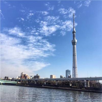 兰若情缘手游果盘版下载