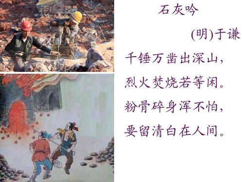 零侍物语游戏手机版(暂未上线)v1.0 安卓版